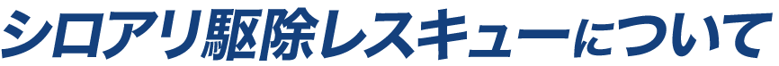 シロアリ駆除レスキューについて