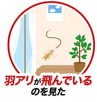 羽アリが飛んでいるのを見た