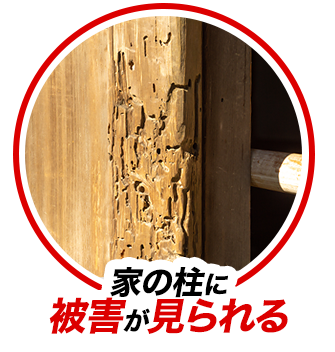 家の柱に被害が見られる