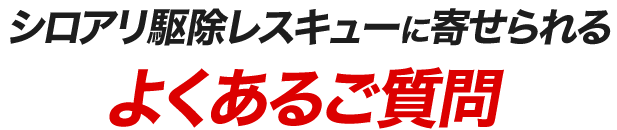シロアリ駆除レスキューに寄せられるよくあるご質問