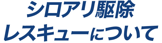 シロアリ駆除レスキューについて
