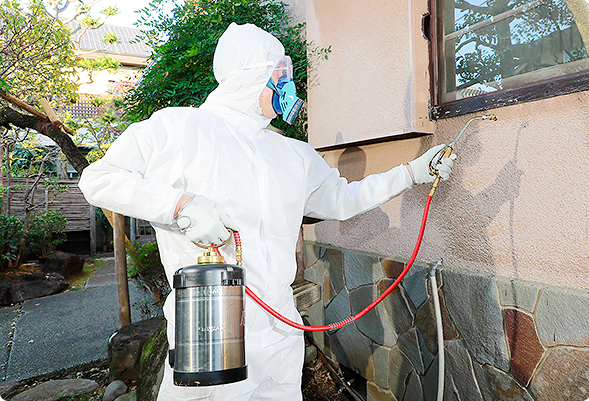 シロアリ駆除