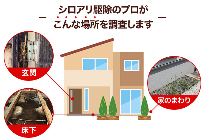 シロアリ駆除のプロがこんな場所を調査します