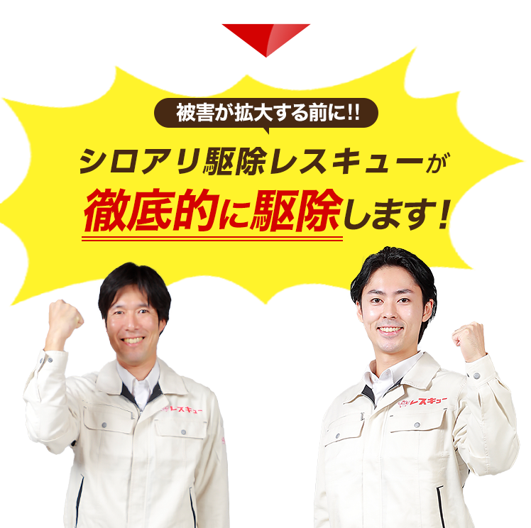 被害が拡大する前にシロアリレスキューが徹底的に駆除します！