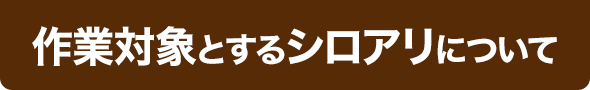 作業対象とするシロアリについて