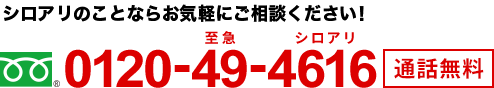 シロアリのことならお気軽にご相談ください　0120-49-4616