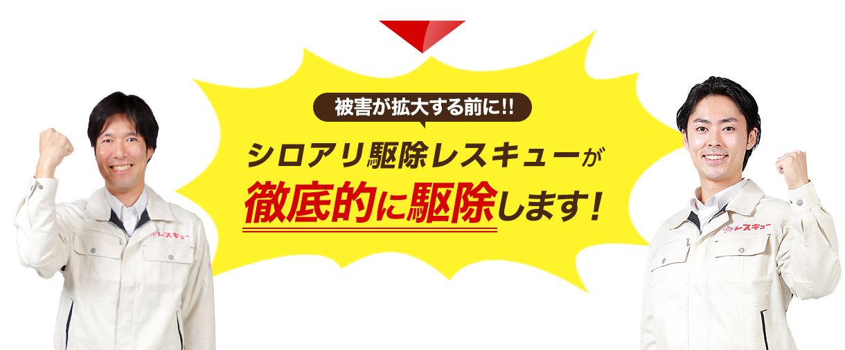 被害が拡大する前にシロアリレスキューが徹底的に駆除します！