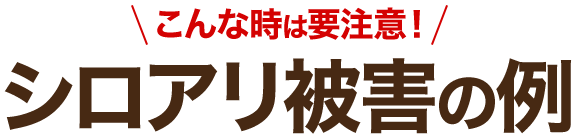 こんな時は要注意!シロアリ被害の例